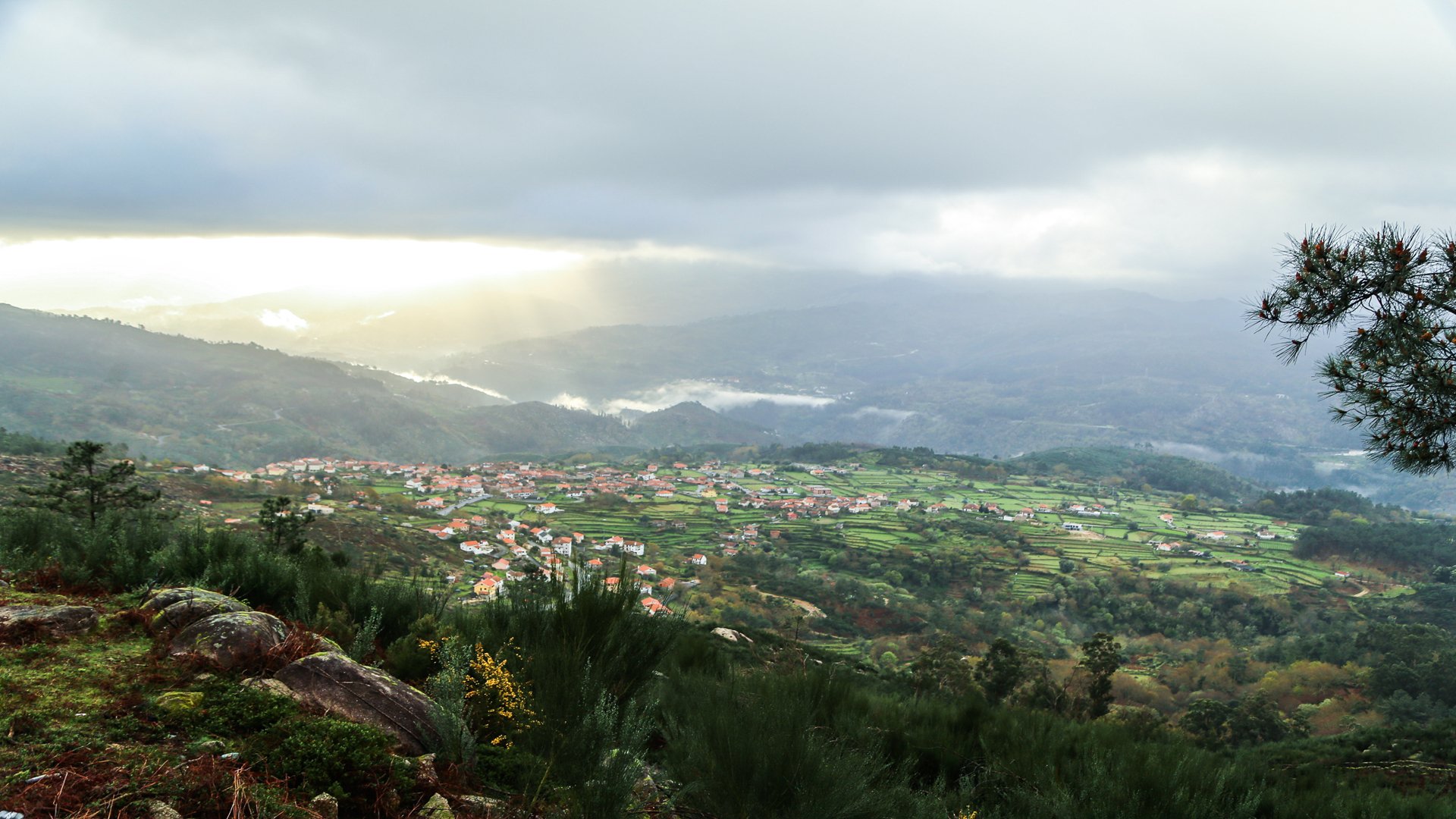 A Corça (Serra do Soajo) 